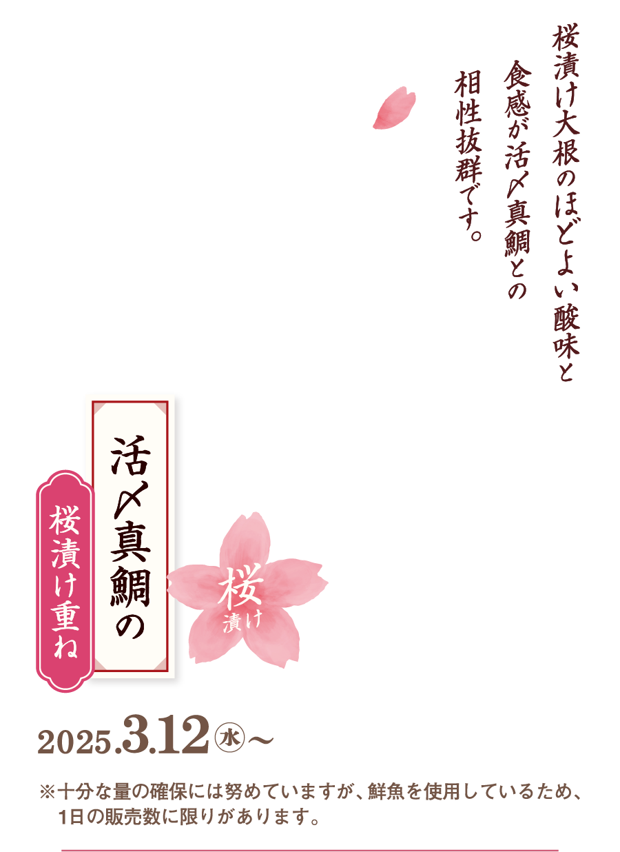 活〆真鯛の桜漬け重ね 桜漬け大根のほどよい酸味と食感が活〆真鯛との相性抜群です。2024.３.12水〜 ※十分な量の確保には務めていますが、鮮魚を使用しているため、一日の販売数に限りがあります。