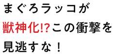 まぐろラッコが獣神化!?この衝撃を見逃すな！