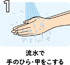 1 流水で手のひら・甲をこする