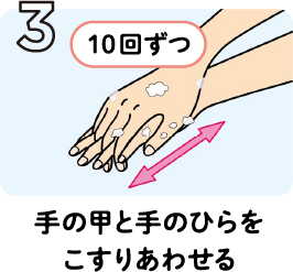 3 手の甲と手のひらをこすりあわせる