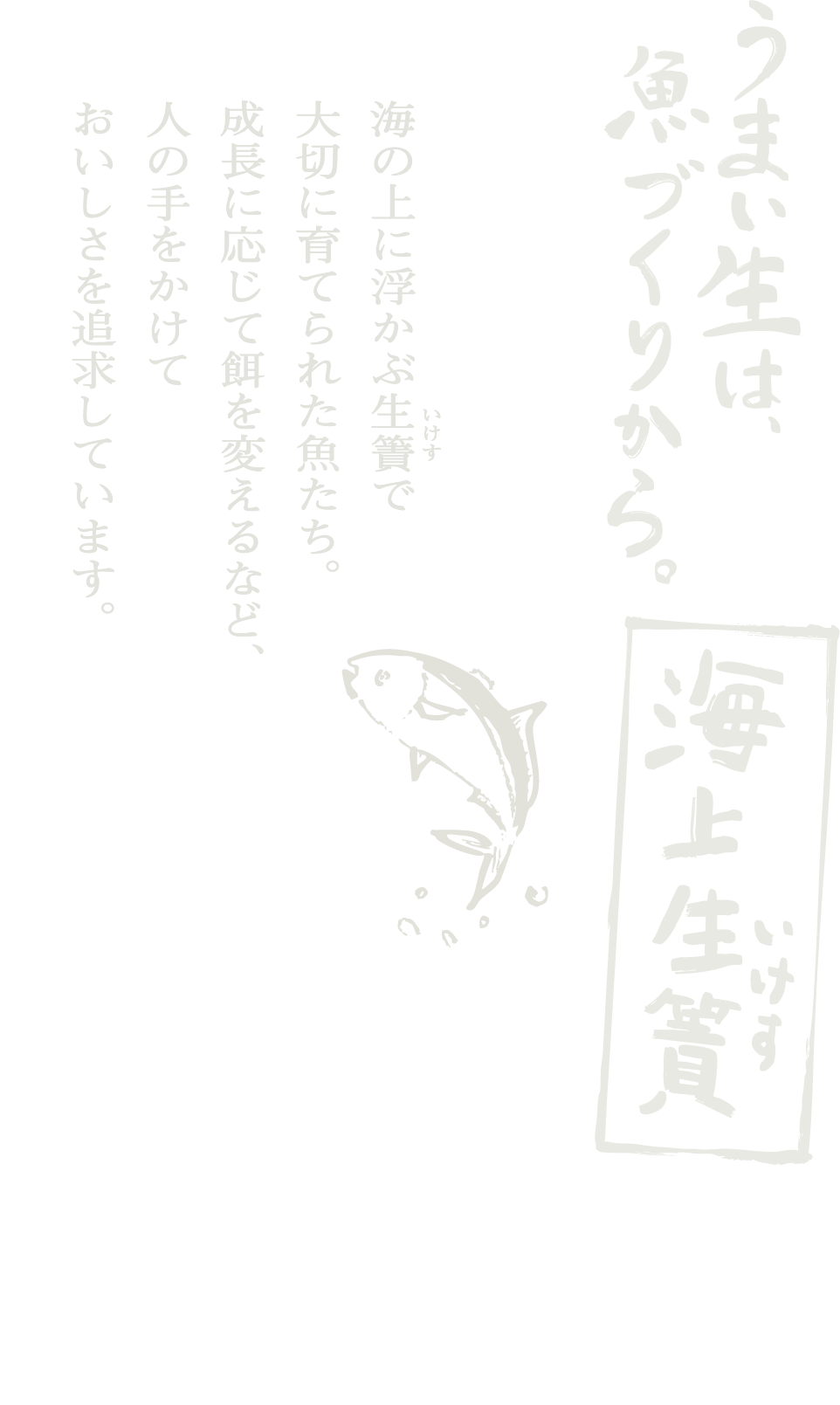 うまい生は魚づくりから。海の上に浮かぶ生簀（いけす）で大切に育てられた魚たち。成長に応じて餌を変えるなど、人の手をかけておいしさを追及しています。