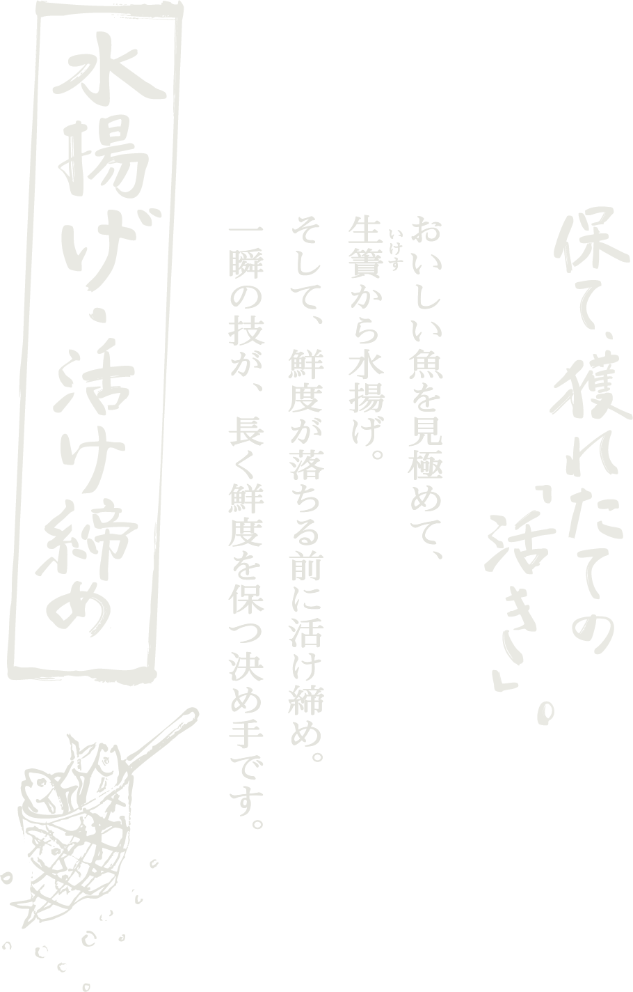 水揚げ・活け締め：保て、穫れたて「活き」。おいしい魚を見極めて、生簀（いけす）から水揚げ。そして、鮮度が落ちる前に活け締め。一瞬の技が、長く鮮度を保つ決め手です。