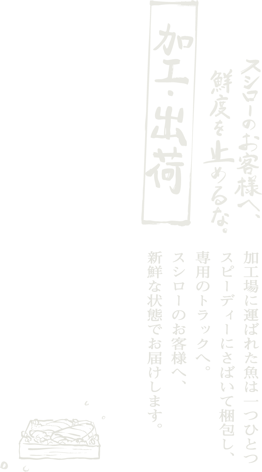 加工・出荷：スシローのお客様へ鮮度を止めるな。加工場へ運ばれた魚は一つひとつスピーディにさばいて梱包し、専用のトラックへ。スシローのお客様へ、新鮮な状態でお届けします。