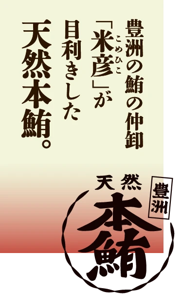 豊洲天然本鮪。豊洲の鮪の仲卸「米彦（こめひこ）」が目利きした天然本鮪。